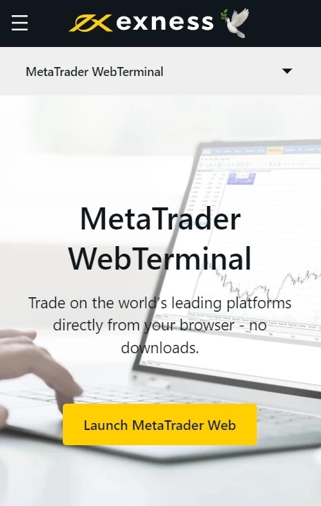 Trade Online with Web Terminal